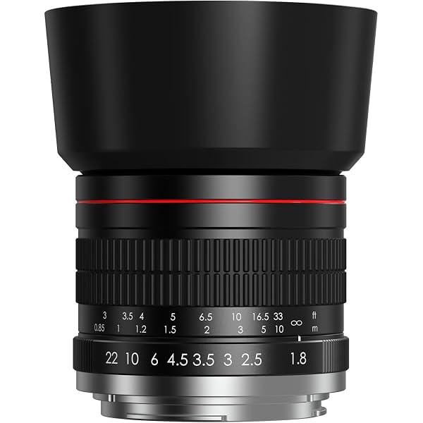 今すぐ使えるかんたんmini Canon EOS 9000D 基本&応用 撮影ガイド